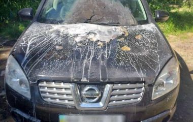 На Литвиненко-Вольгемут підпалили автомобіль Nissan