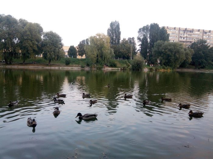 Озеро Віра