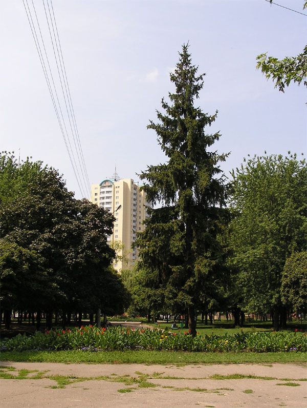 Парк ім. генерала Потапова