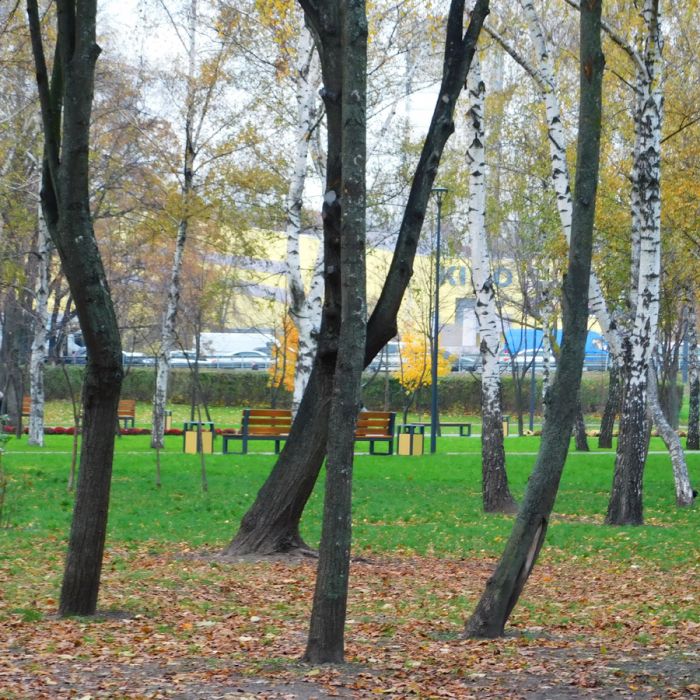 Парк "Юність"